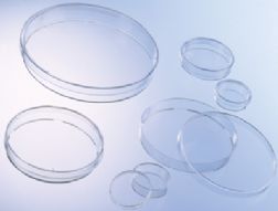 فروش پلیت آزمایشگاهی