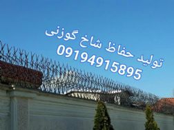 توليد حفاظ شاخ گوزني