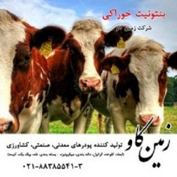 بنتونیت خوراک دام