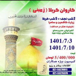 تور کربلا و نجف هوایی