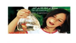 مستربچ لیز