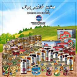 تولیدکننده مواد غذایی