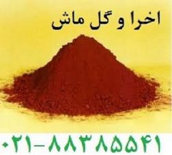 اخراوگل ماش