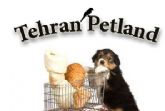 محصولات  حیوانات خانگی در تهران