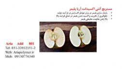 مستربچ انتی اکسیدانت