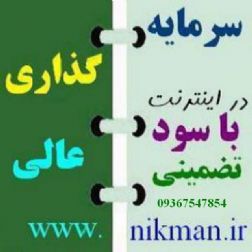 دعوت به سرمایه گذاری پرسود در تجارت دامنه