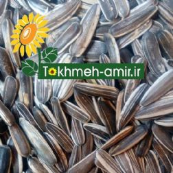 فروش انواع تخمه آفتابگردان و تخمه کدو،تخمه امیر