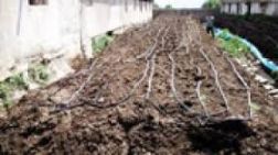 راه اندازی کارگاه تولید کود ورمی کمپوست و پرورش کرم خاکی