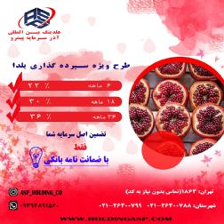 سرمایه گذاری مطمئن با سود دوبرابر سود بانکها